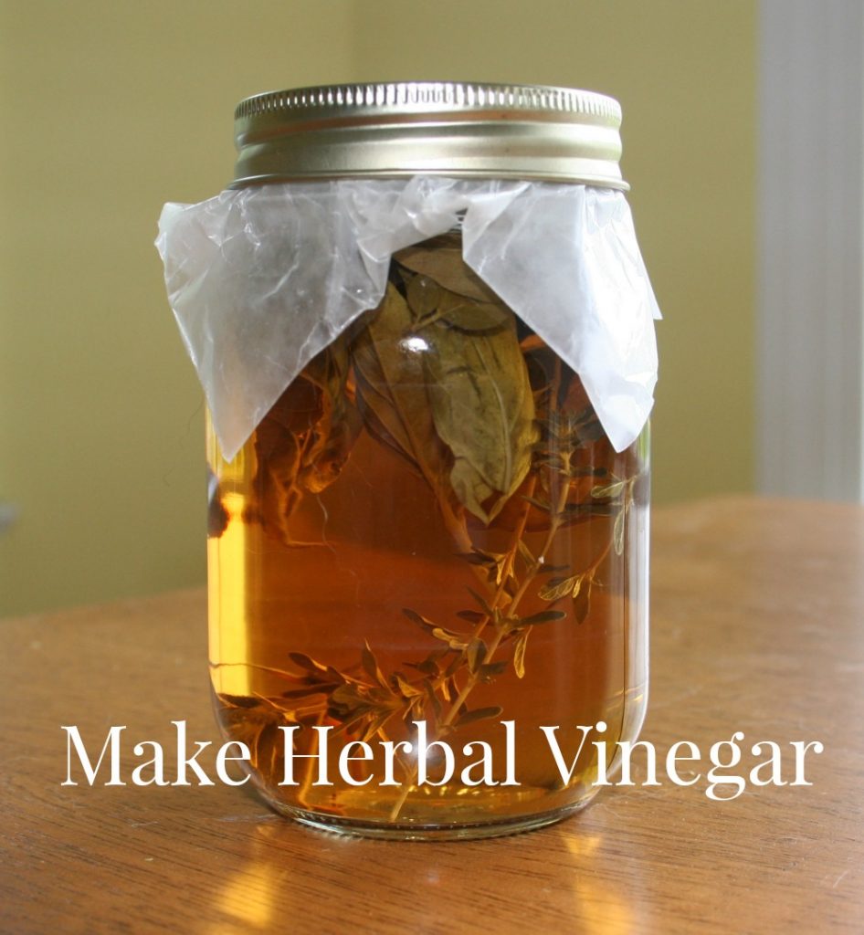 Learn how to Make Natural Vinegar